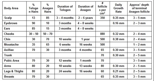 Variation in Hair Growth around different body areas